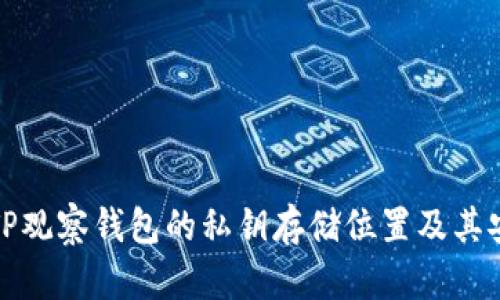 揭秘TP观察钱包的私钥存储位置及其安全性