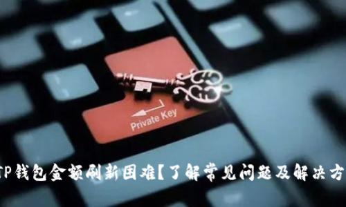  TP钱包金额刷新困难？了解常见问题及解决方案