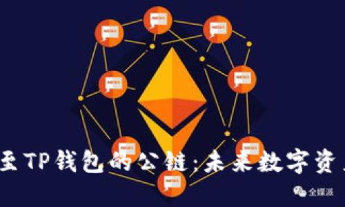 探索ICP提升至TP钱包的公链：未来数字资产的完美组合