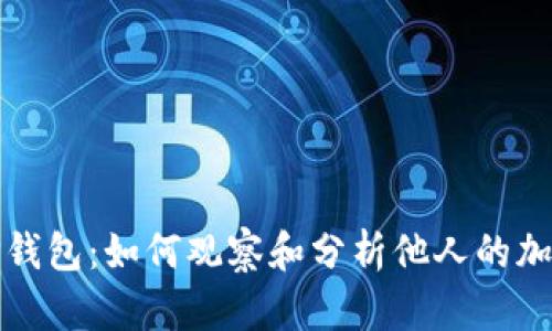 揭秘TP钱包：如何观察和分析他人的加密钱包