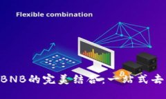 探索TokenPocket与BNB的完美结