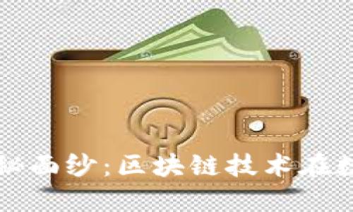 揭开蛮子币的神秘面纱：区块链技术在数字货币中的应用