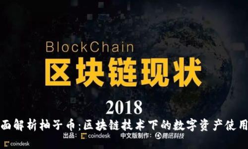 : 全面解析柚子币：区块链技术下的数字资产使用方法