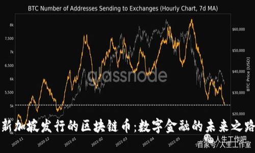新加坡发行的区块链币：数字金融的未来之路