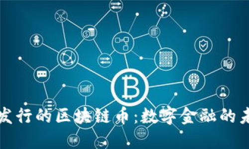 新加坡发行的区块链币：数字金融的未来之路