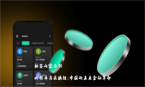 标签内容示例

比特币与区块链：中国的未来金融革命
