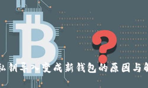TP钱包私钥导入变成新钱包的原因与解决方案