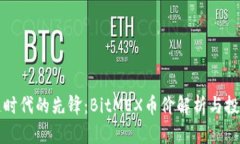 区块链时代的先锋：BitM