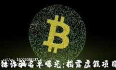 雷达币区块链诈骗名单曝光：揭露虚假项目背后