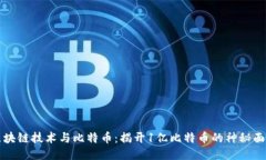 区块链技术与比特币：揭