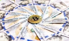 揭秘TP钱包：适合哪些人的数字资产管理工具？