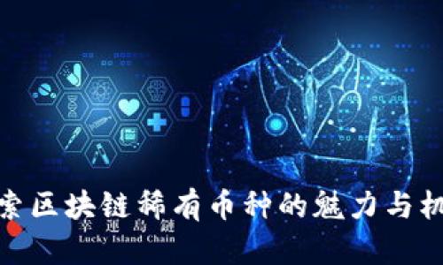 探索区块链稀有币种的魅力与机遇