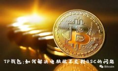 TP钱包：如何解决电脑端不支持BSC的问题