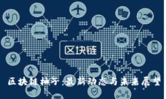 区块链柚子：最新动态与未来展望