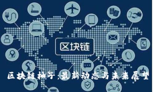 区块链柚子：最新动态与未来展望