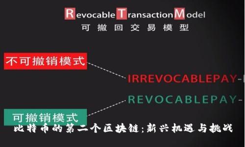 比特币的第二个区块链：新兴机遇与挑战