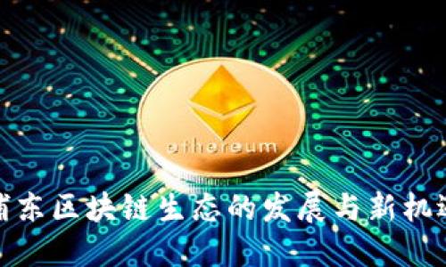浦东区块链生态的发展与新机遇
