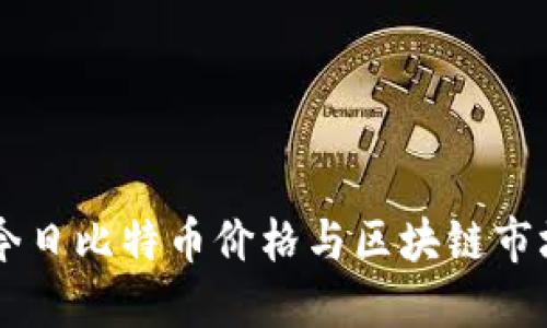 了解今日比特币价格与区块链市场动向