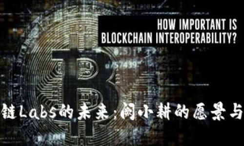 火币区块链Labs的未来:阙小耕的愿景与创新之路