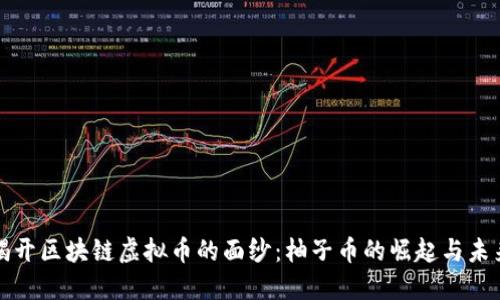 揭开区块链虚拟币的面纱：柚子币的崛起与未来