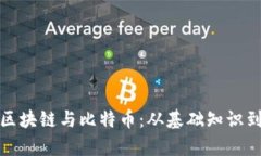 全面解析区块链与比特币：从基础知识到实用技