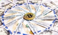 TokenPocket：了解这款数字钱包的排名与实用性