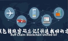 TP钱包转账密码忘记？快速找回的方法！