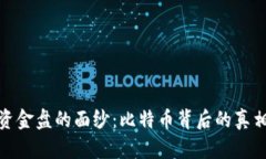 揭开区块链资金盘的面纱：比特币背后的真相与
