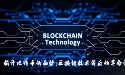 ### 揭开比特币的面纱：区块链技术背后的革命性影响