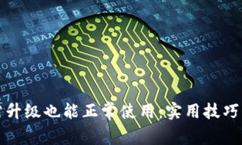 TP钱包无需升级也能正常使用：实用技巧与经验分享