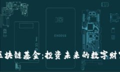 币火区块链基金：投资未来的数字财富之路