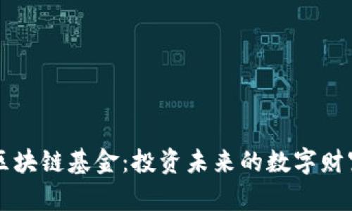 币火区块链基金：投资未来的数字财富之路