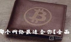 选择TP钱包时，哪个网络最适合你？全面解析及实