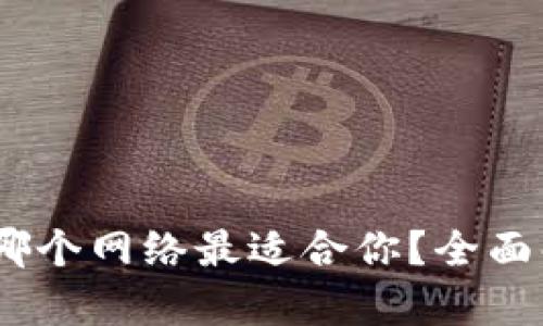 选择TP钱包时，哪个网络最适合你？全面解析及实用建议