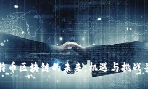 比特币区块链的未来：机遇与挑战并存