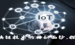 币创：揭开区块链技术的神秘面纱，探索其无尽