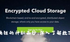 揭开比特币与区块链的神秘面纱：深入了解数字