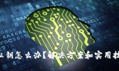 丢失TP钱包私钥怎么办？解决方案和实用技巧全在