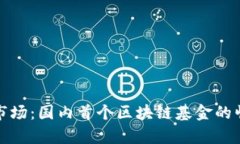 探索中国市场：国内首个区块链基金的崛起与前