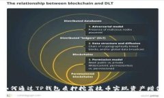 如何通过TP钱包质押挖荔枝币实现资产增值