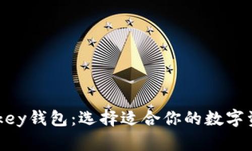 TP钱包与Mykey钱包：选择适合你的数字资产管理工具