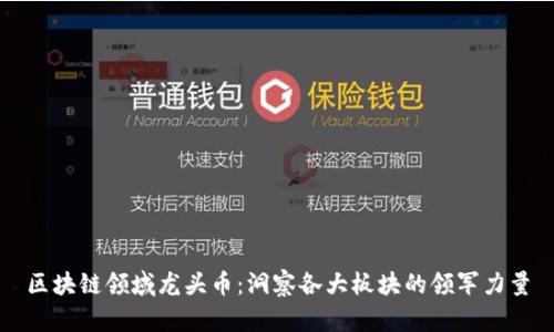 区块链领域龙头币：洞察各大板块的领军力量