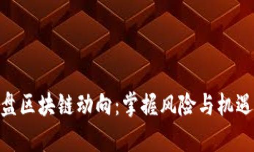 最新崩盘区块链动向：掌握风险与机遇的关键