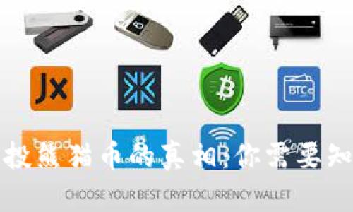 揭秘区块链空投熊猫币的真相：你需要知道的实用信息