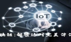 比特币与区块链：解密这对完美伴侣的本质关系