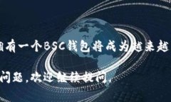TP钱包中的BSC钱包属于币安智能链（Binance Smart