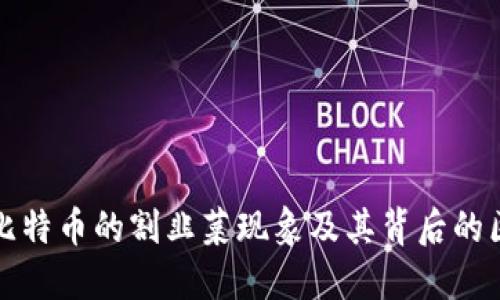 如何理解比特币的割韭菜现象及其背后的区块链技术