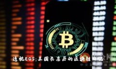 透视EOS：王团长亲历的区块链日记