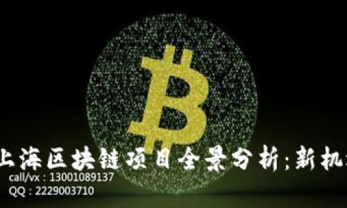 2023年上海区块链项目全景分析：新机遇与挑战