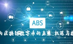 揭秘国内区块链数字币的未来：机遇与挑战并存